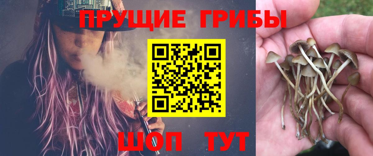 Галлюциногенные грибы мухоморы  Вход с VPN  Псилоцибиновые грибы мицелий  Отрадное 